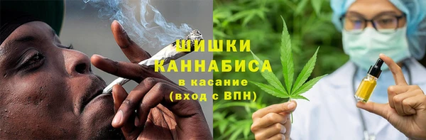 ПСИЛОЦИБИНОВЫЕ ГРИБЫ Алексин
