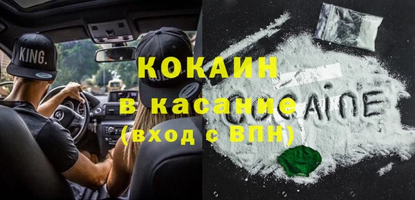 ПСИЛОЦИБИНОВЫЕ ГРИБЫ Алексин