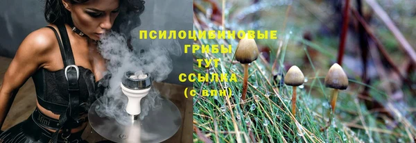 мяу мяу мука Алзамай